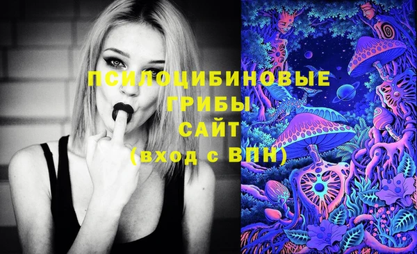 a pvp Краснослободск
