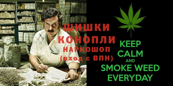 PSILOCYBIN Красноперекопск