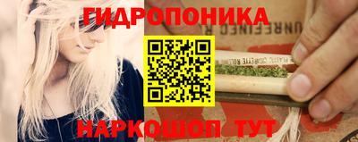 ПСИЛОЦИБИНОВЫЕ ГРИБЫ Аргун