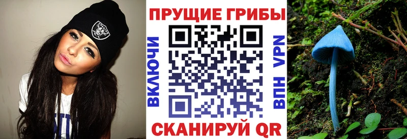 купить закладку  Волгодонск  Псилоцибиновые грибы Psilocybine cubensis 
