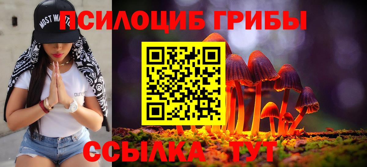 наркота  Вход с VPN  Волгодонск  Галлюциногенные грибы Cubensis 